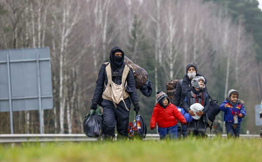 Protjerana dva ilegalna migranta iz Bosne i Hercegovine